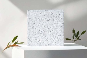 paves_blanc_nacr_13923837