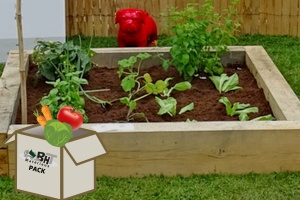 sans_titre3_1876406349