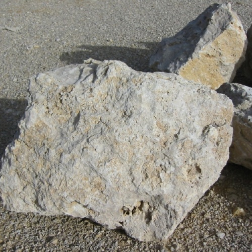 Roche de Calcaire