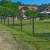 pandomino-01_391d12b9