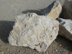 Roche de Calcaire